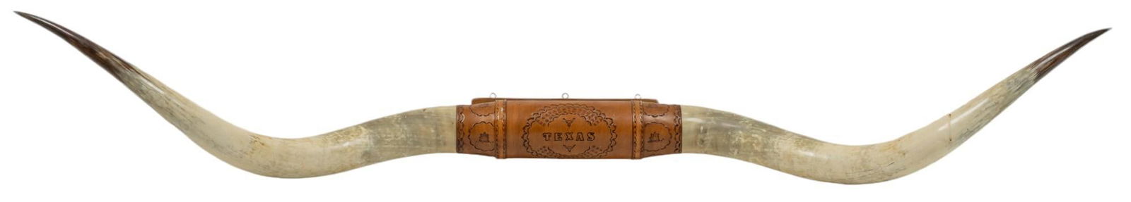 Longhorn Horn Wall Mount (1 of 4)