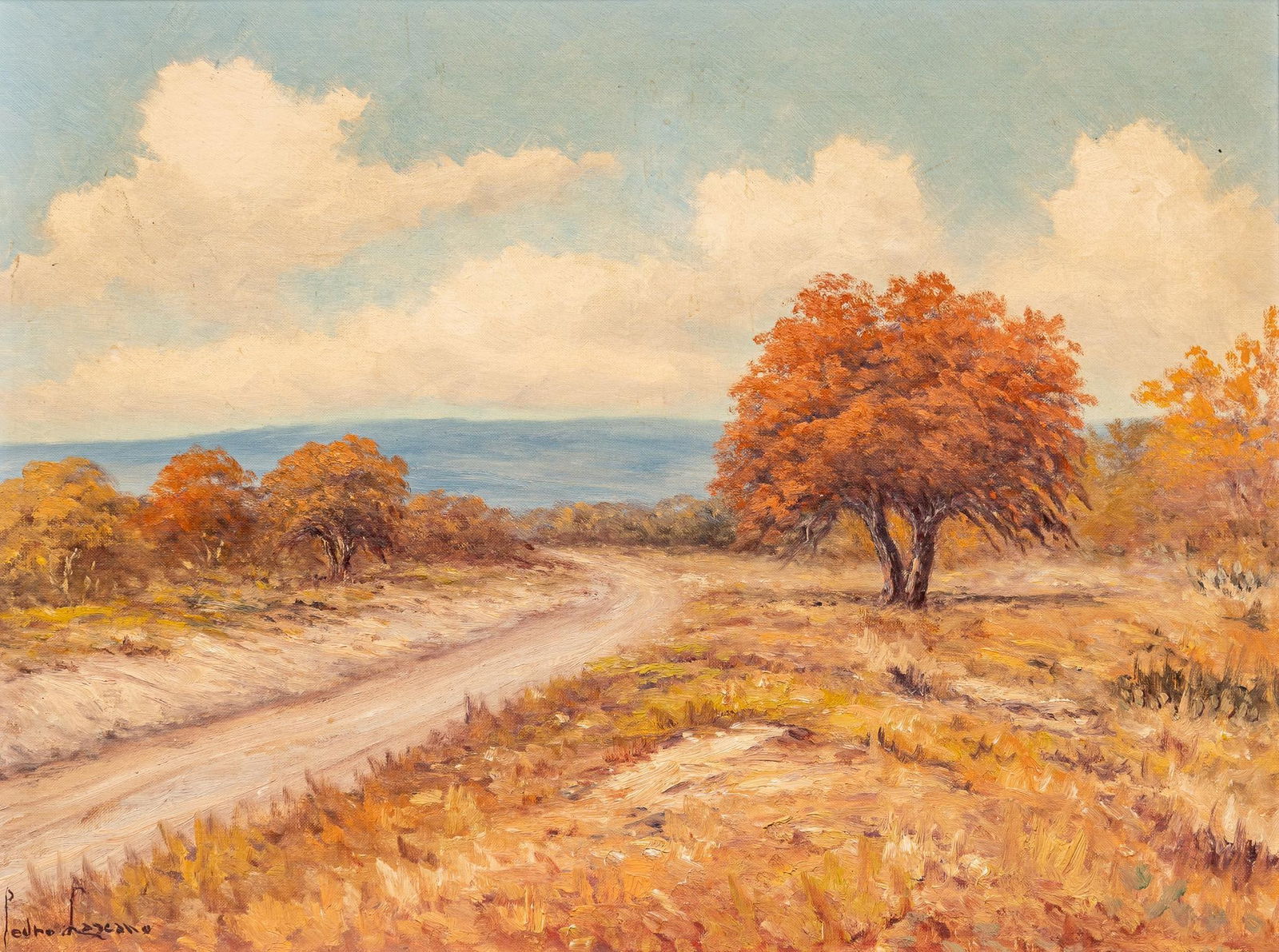 Pedro Lazcano, Texas Autumn (1 of 6)
