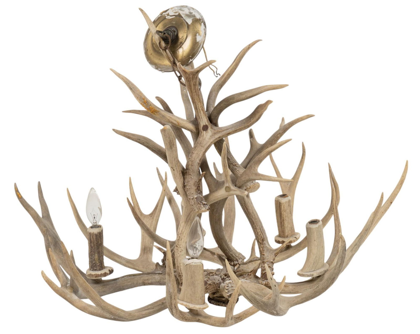 Antler Chandelier (1 of 6)