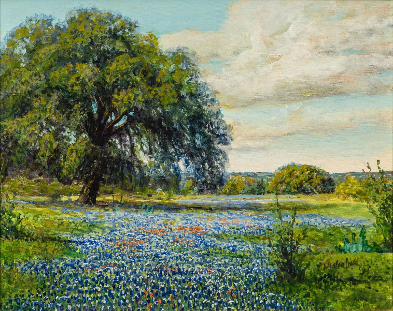 Lajuana Westerfield, Bluebonnet Landscape (1 of 5)