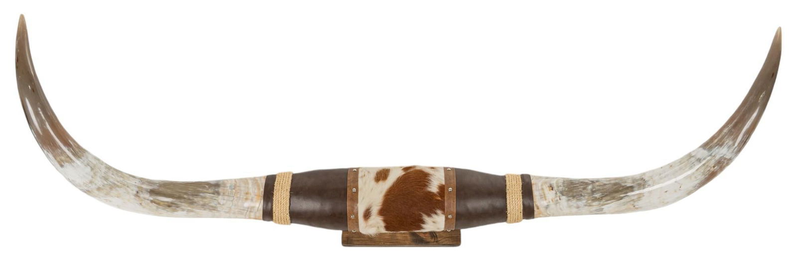 Longhorn Mount (1 of 5)