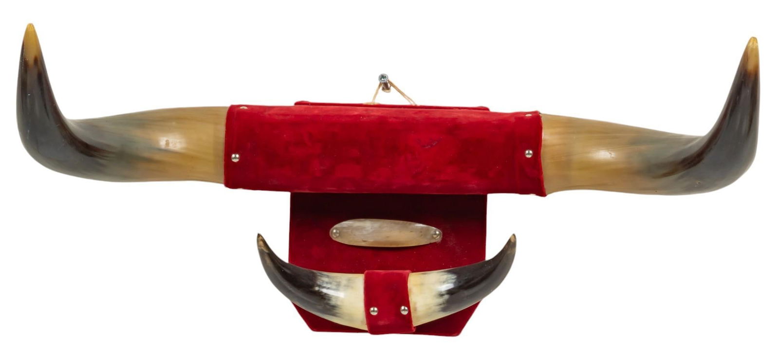 Steerhorn Horn Mount (1 of 7)