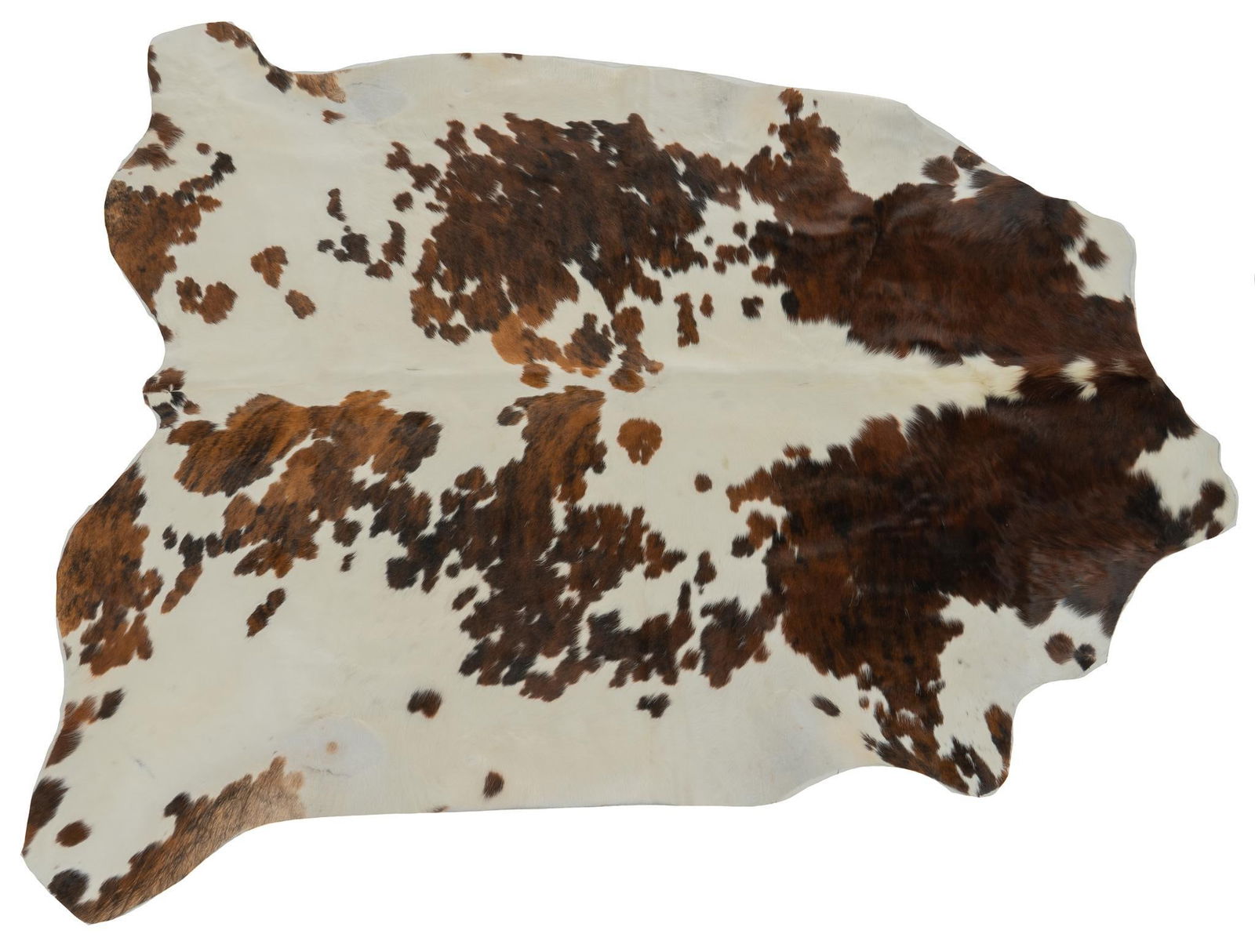 Cowhide Rug (1 of 5)