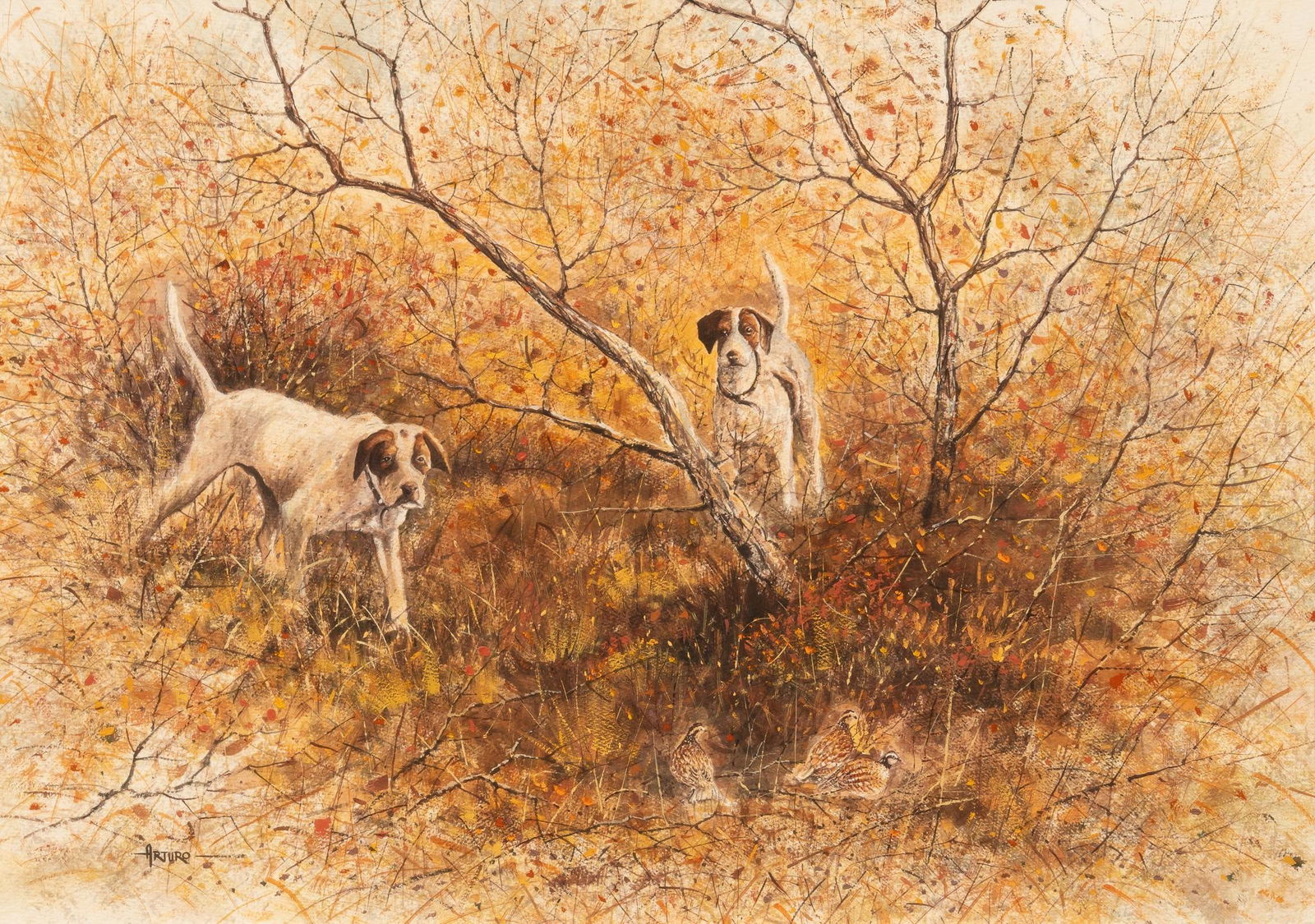 Arturo Mercado, Bird Dogs (1 of 4)