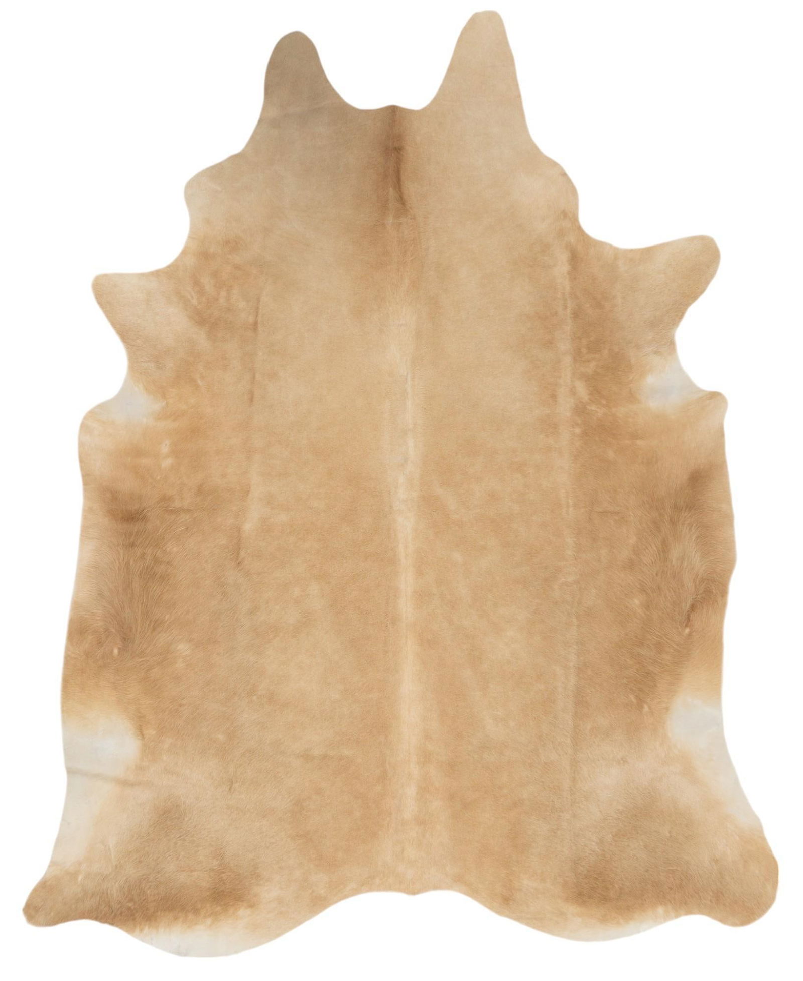 Brown Cowhide Rug (1 of 4)
