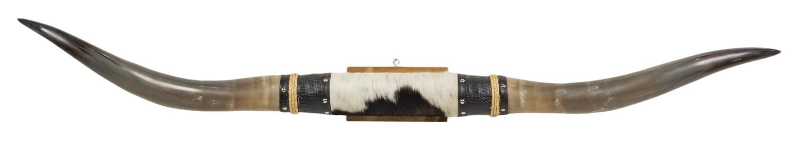Longhorn Mount (1 of 6)