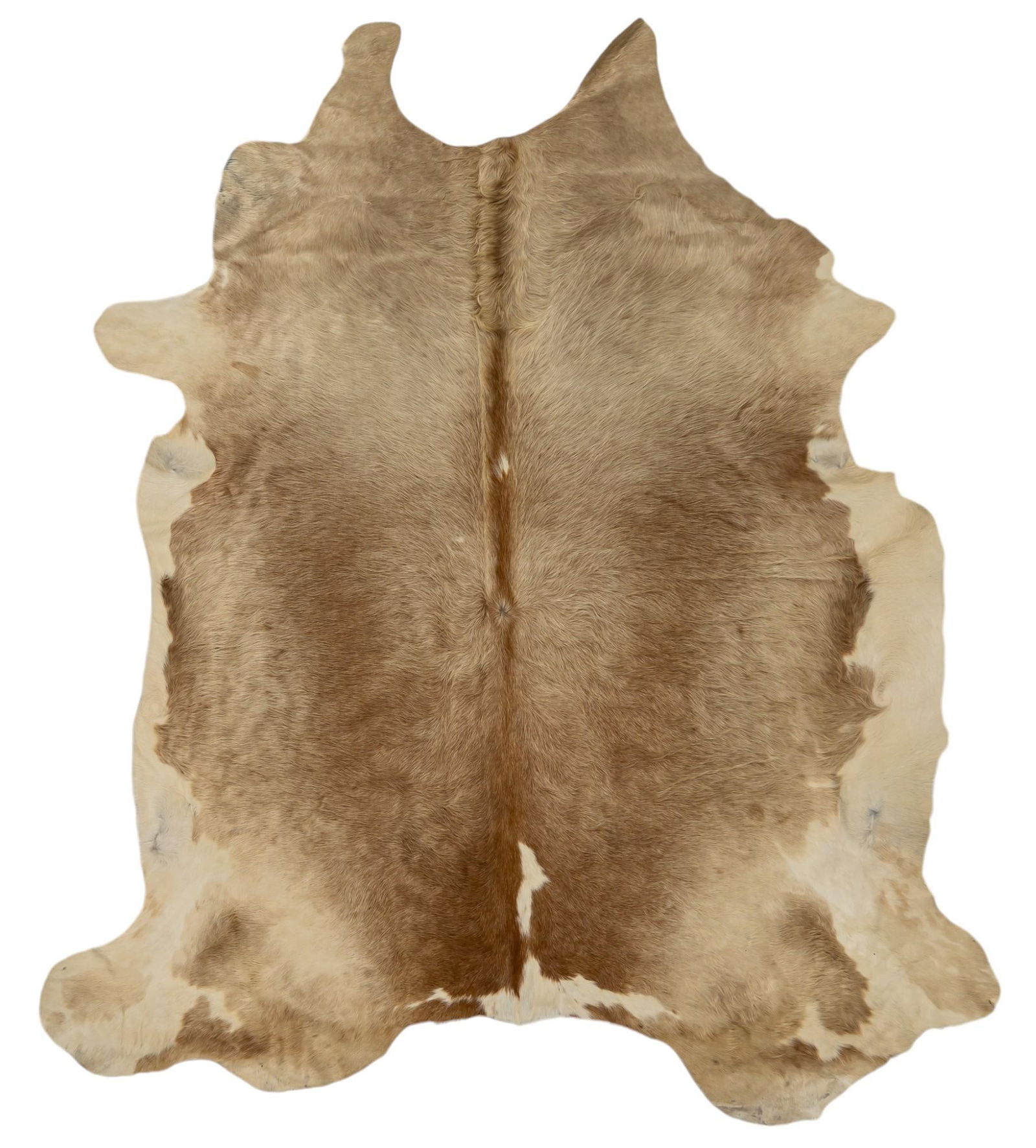 Brown Cowhide Rug (1 of 6)