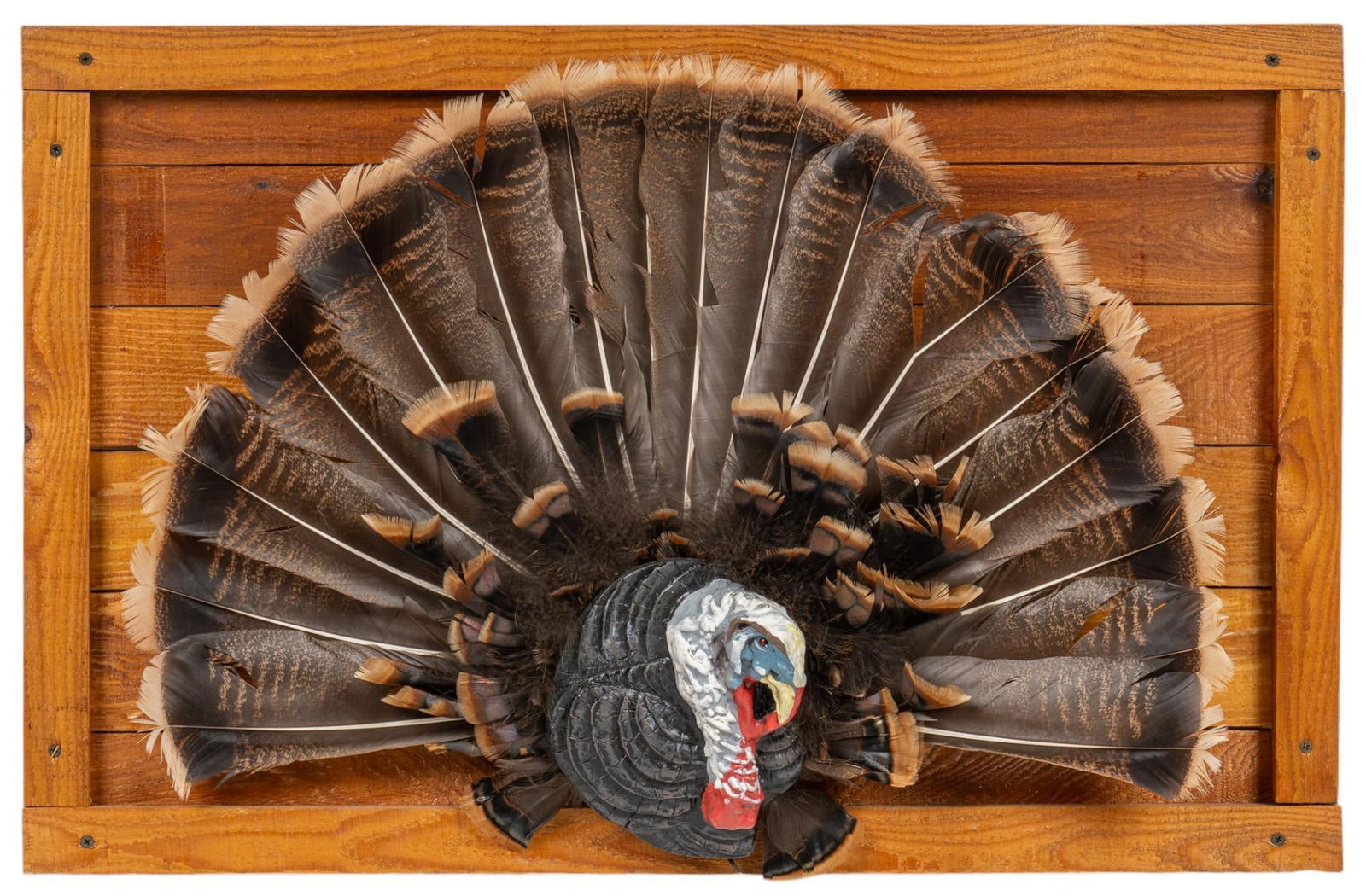 Turkey Feather Fan Display (1 of 7)