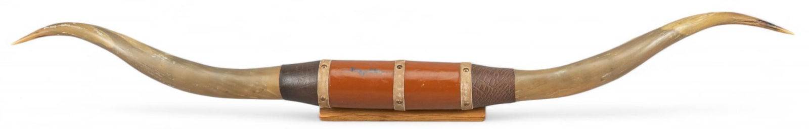 Longhorn Wall Mount (1 of 7)