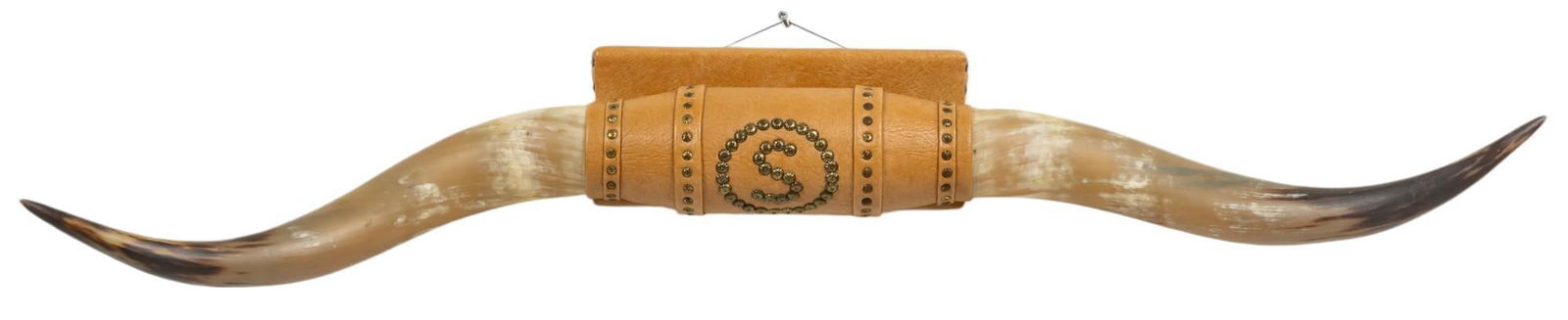 Longhorn Mount (1 of 7)