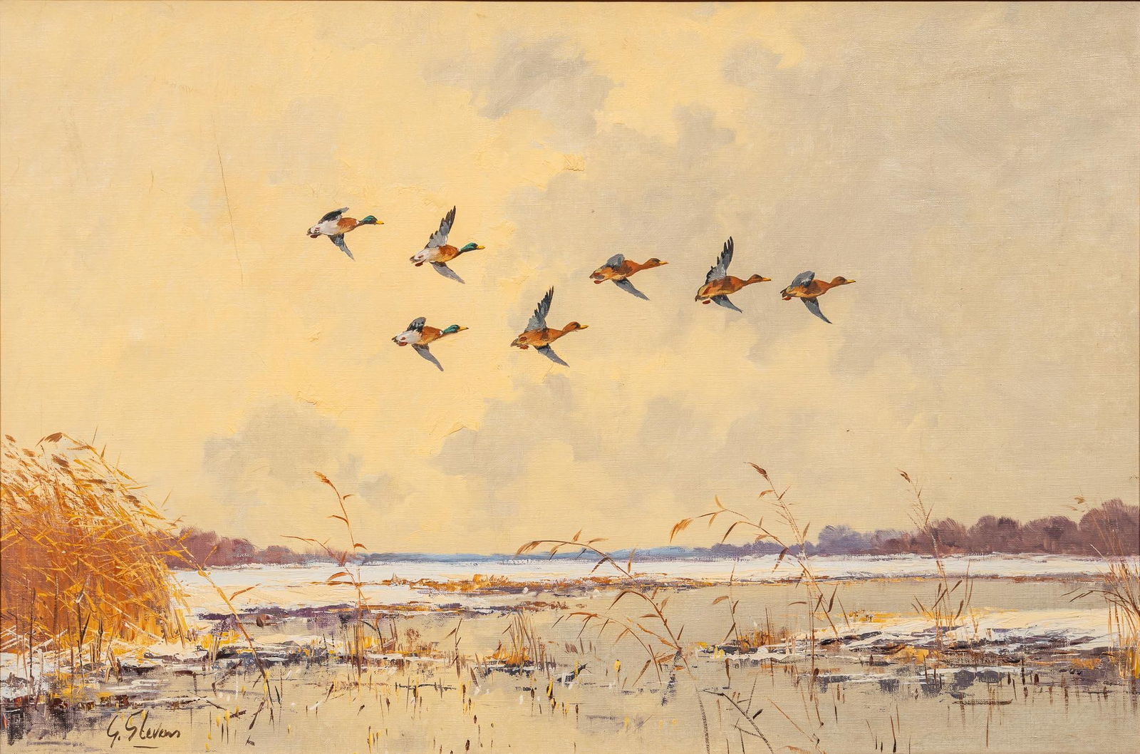 George Stevens, Ducks over Marshes (1 of 8)