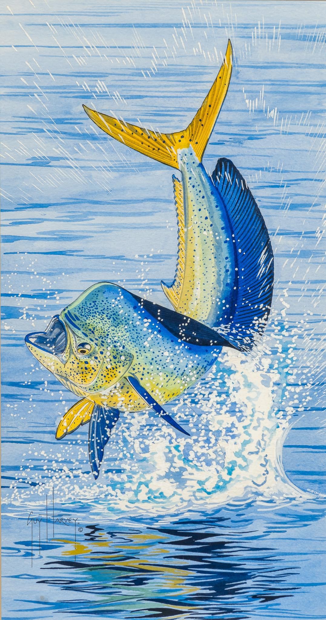 Guy Harvey, Leaping Mahi Mahi (1 of 5)