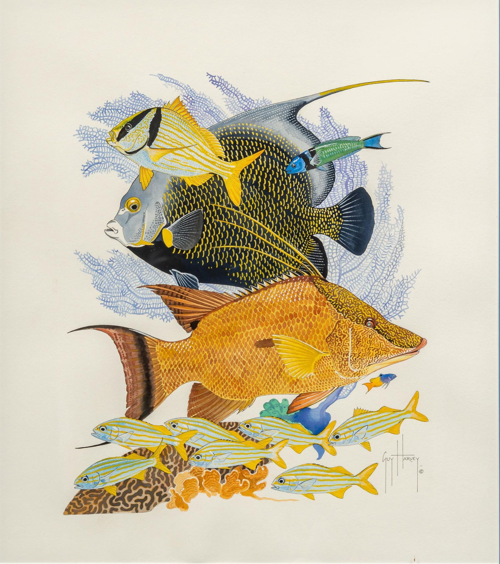 Guy Harvey, Colorful Reef Fish (1 of 4)
