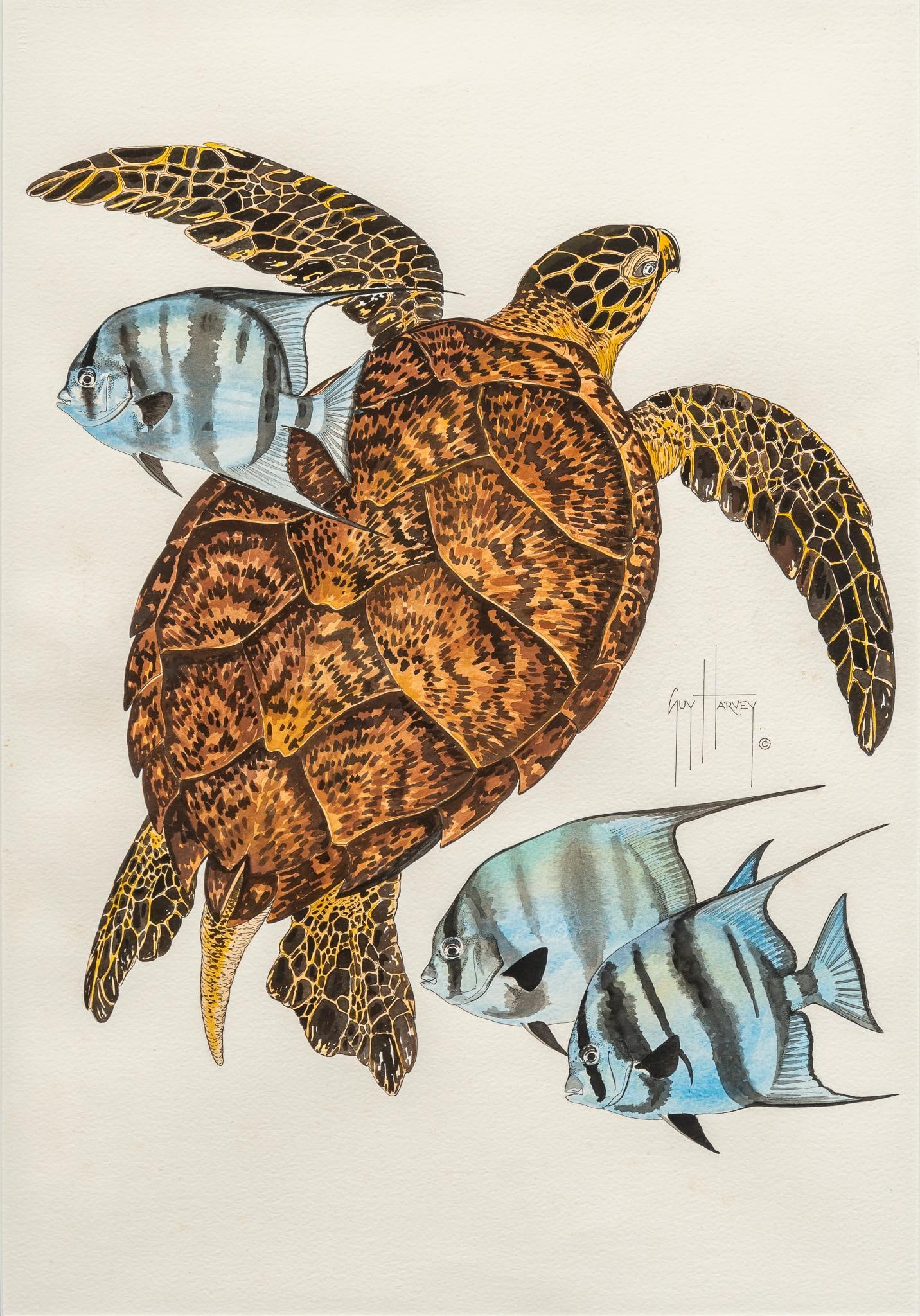 Guy Harvey, Spadefish and Sea Turtle (1 of 7)