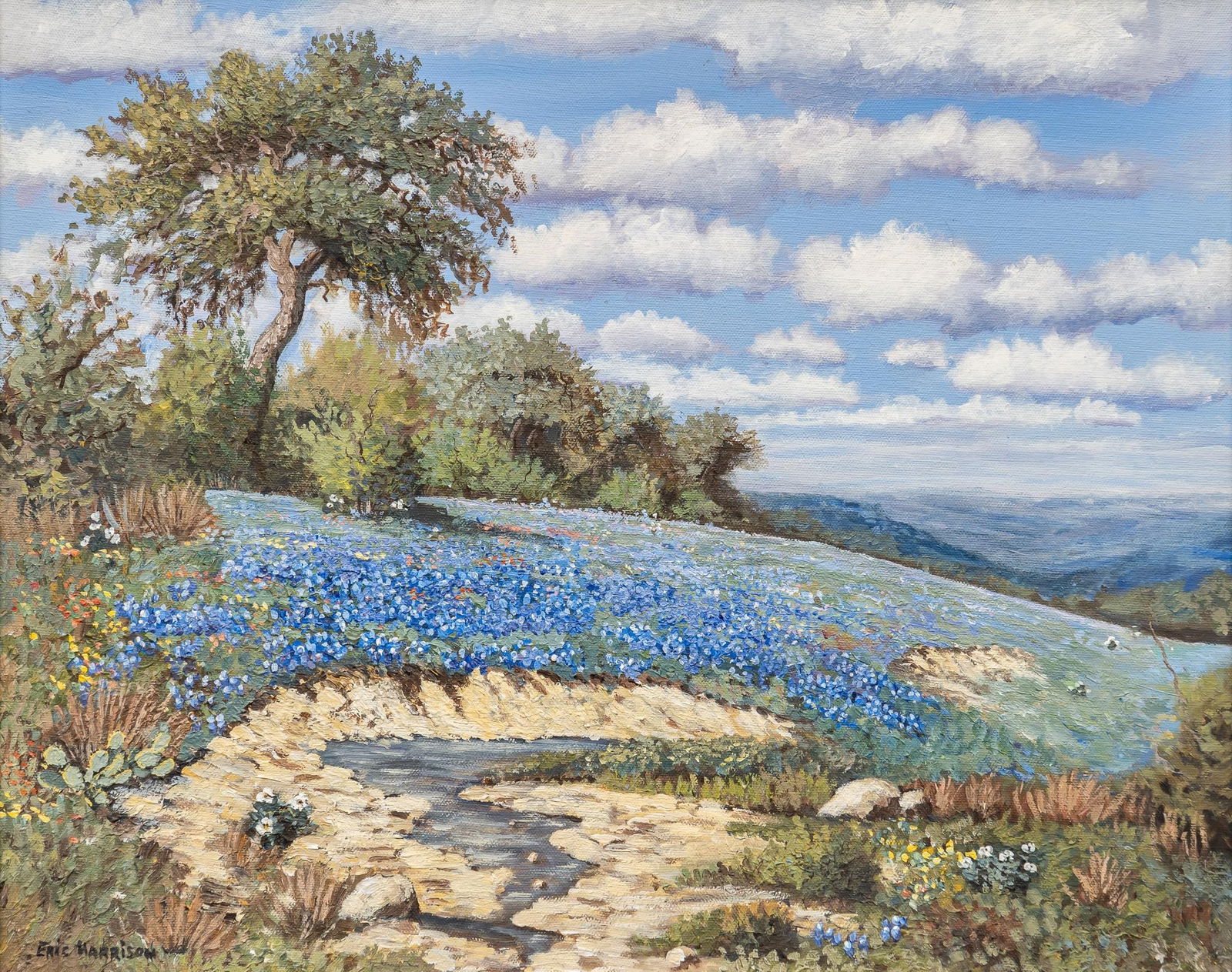 Eric Harrison, Bluebonnets and Arroyo (1 of 5)