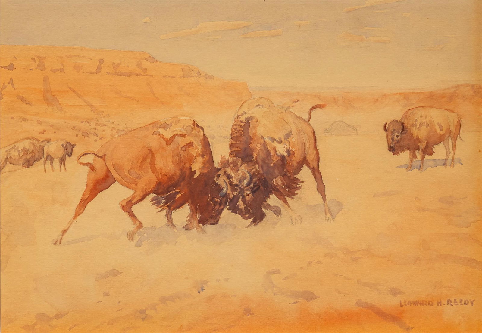 Leonard Reedy, Clashing Bison (1 of 4)