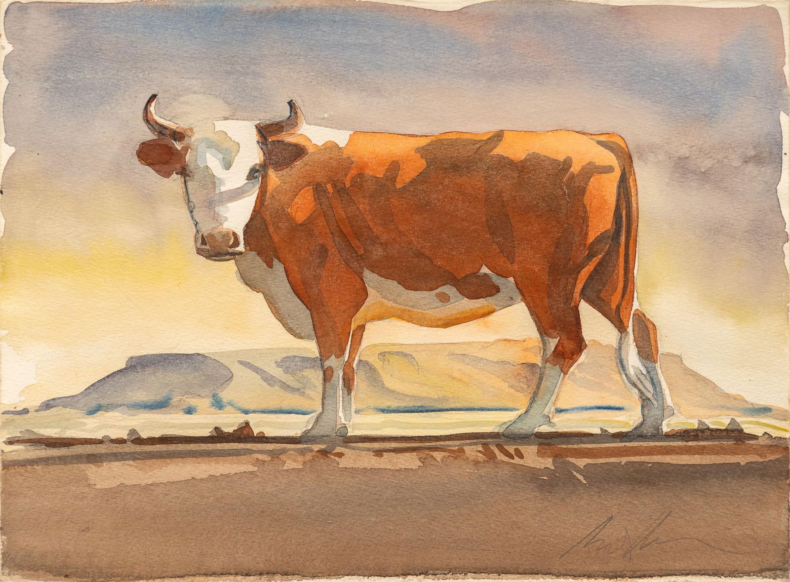 Brad Braune, Hereford Steer and Mesa (1 of 4)