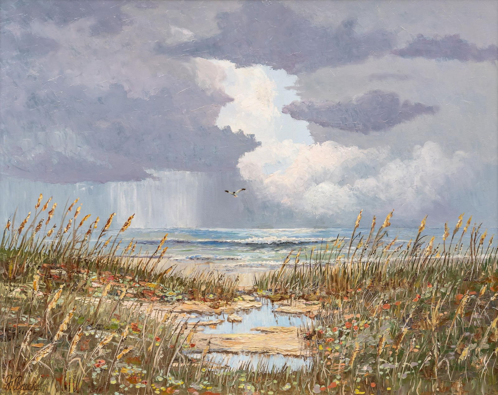 Florent Baecke, Storm in the Texas Gulf Coast (1 of 5)