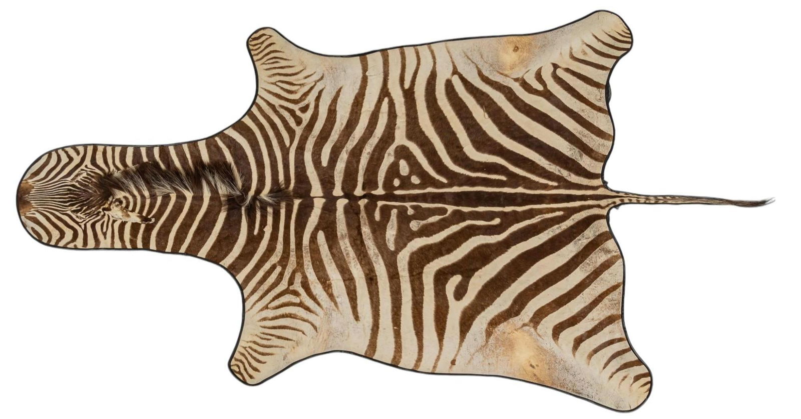 Zebra Hide Rug (1 of 4)