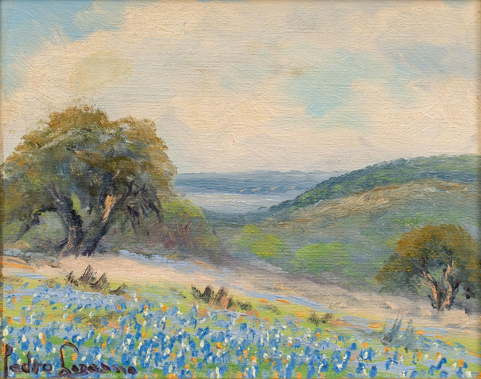 Pedro Lazcano, Texas Bluebonnets (1 of 5)