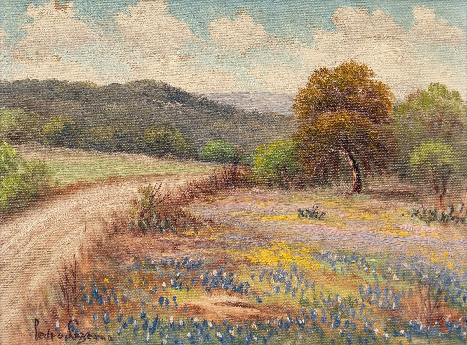 Pedro Lazcano, Hill Country Road with Cactus (1 of 5)