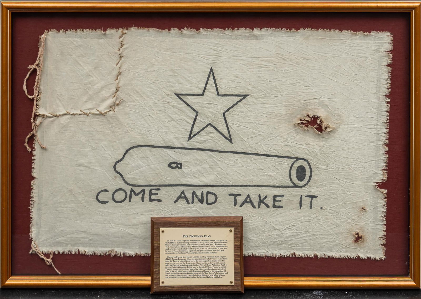 Framed Texas Independence "Come and Take It" Flag and Plaque (1 of 6)