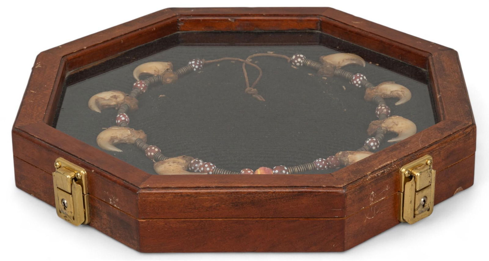 Mountain Lion Claw Native American Necklace in Display Case (1 of 6)