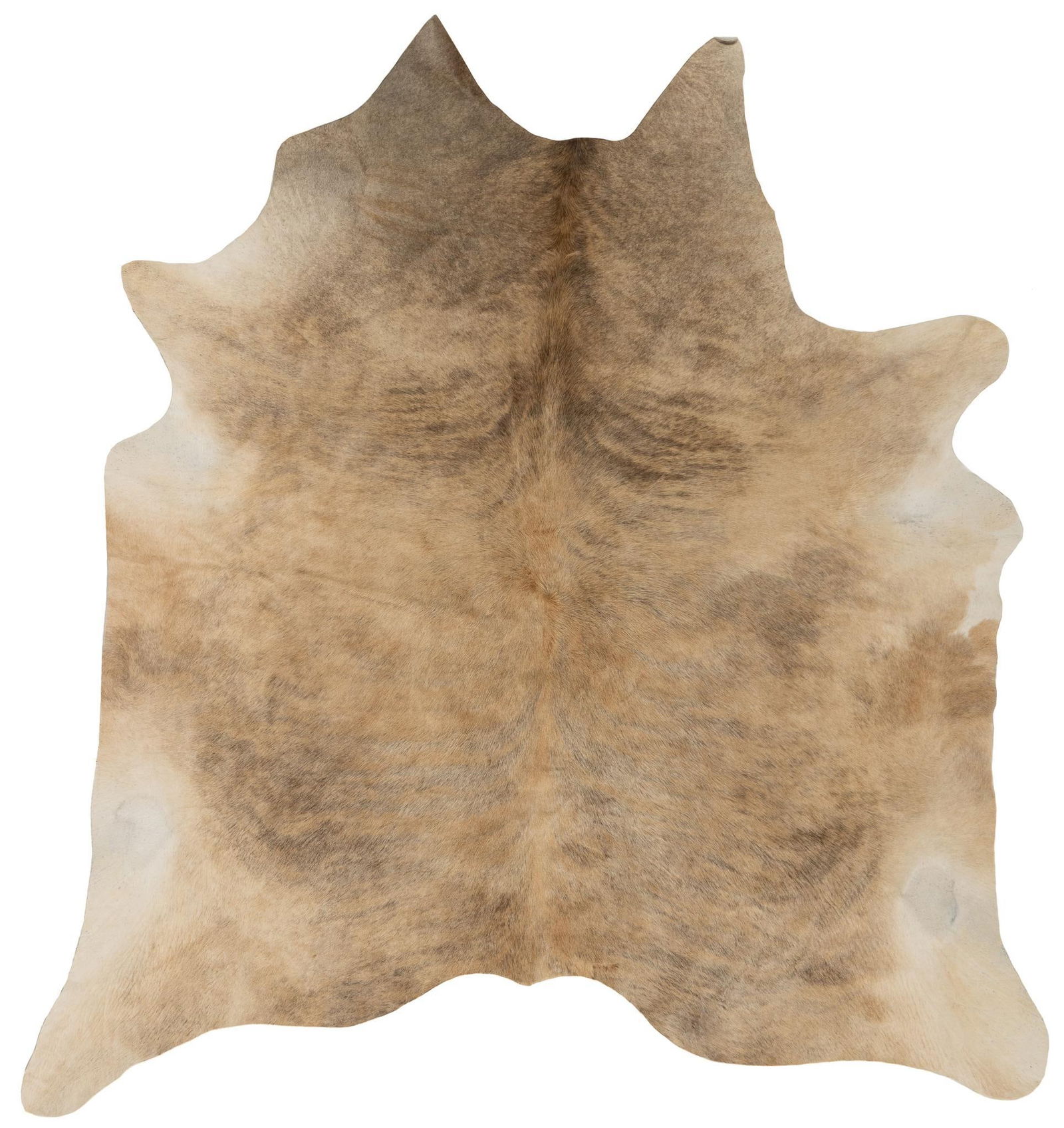 Tan Cowhide Rug (1 of 4)
