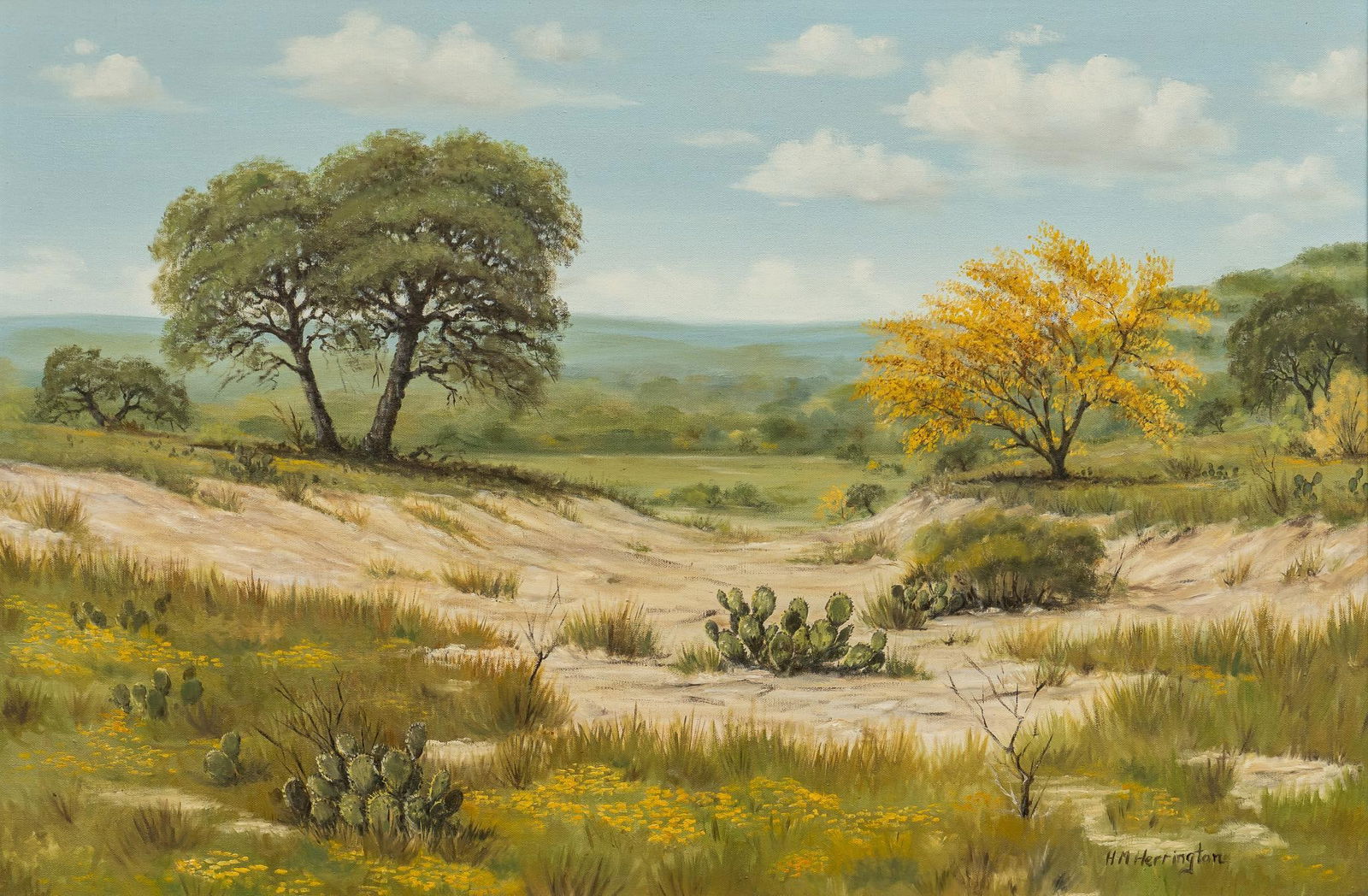 H. M. Herrington, Texas Landscape with Coreopsis (1 of 5)