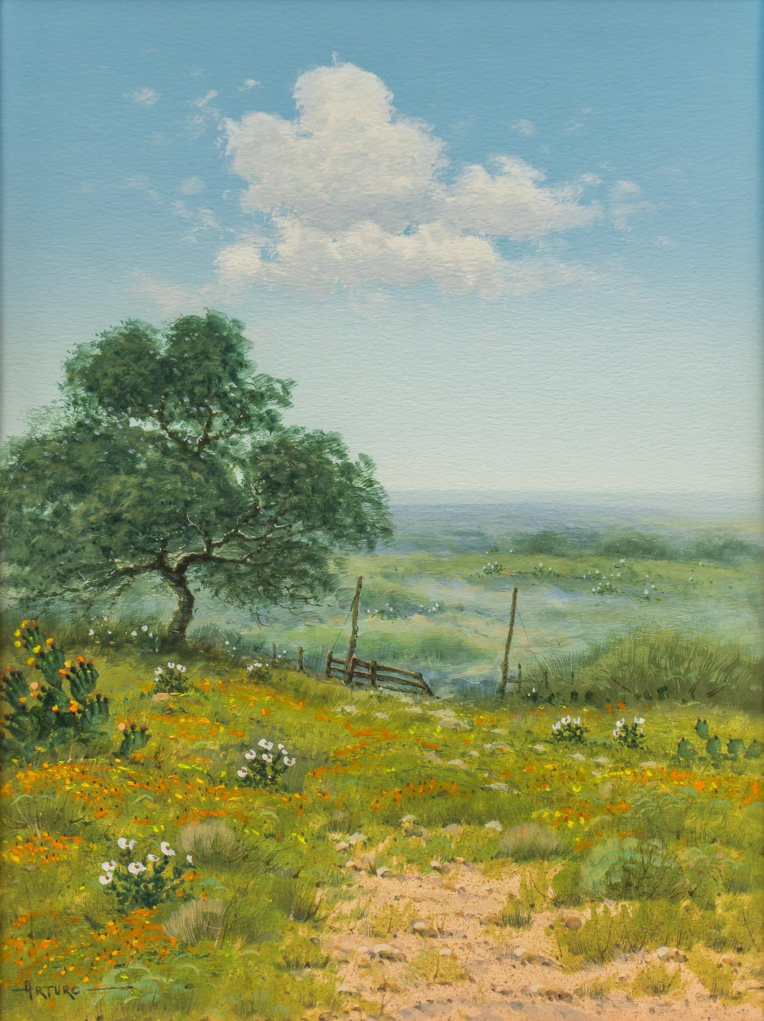 Arturo Mercado, Texas Ranch Gate (1 of 7)