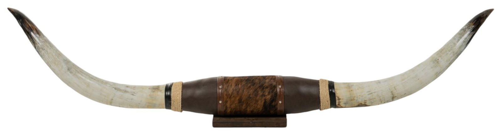 Longhorn Mount (1 of 5)
