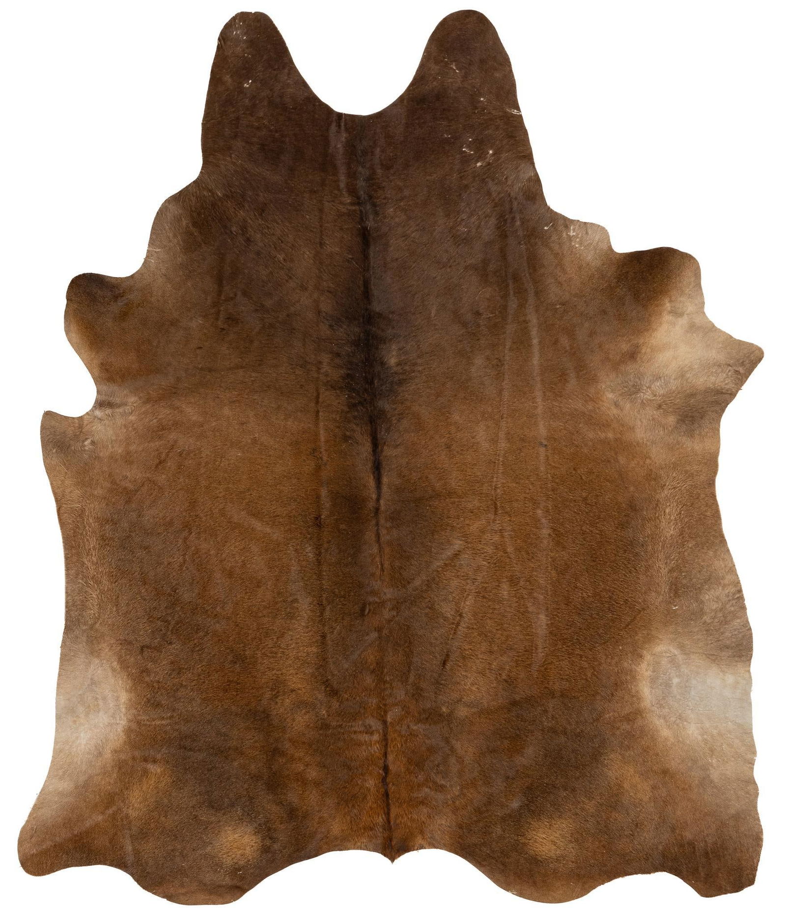 Brown Cowhide Rug (1 of 6)
