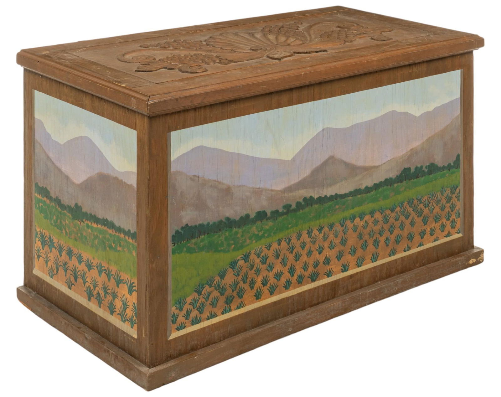 Painted Wooden Chest (1 of 11)