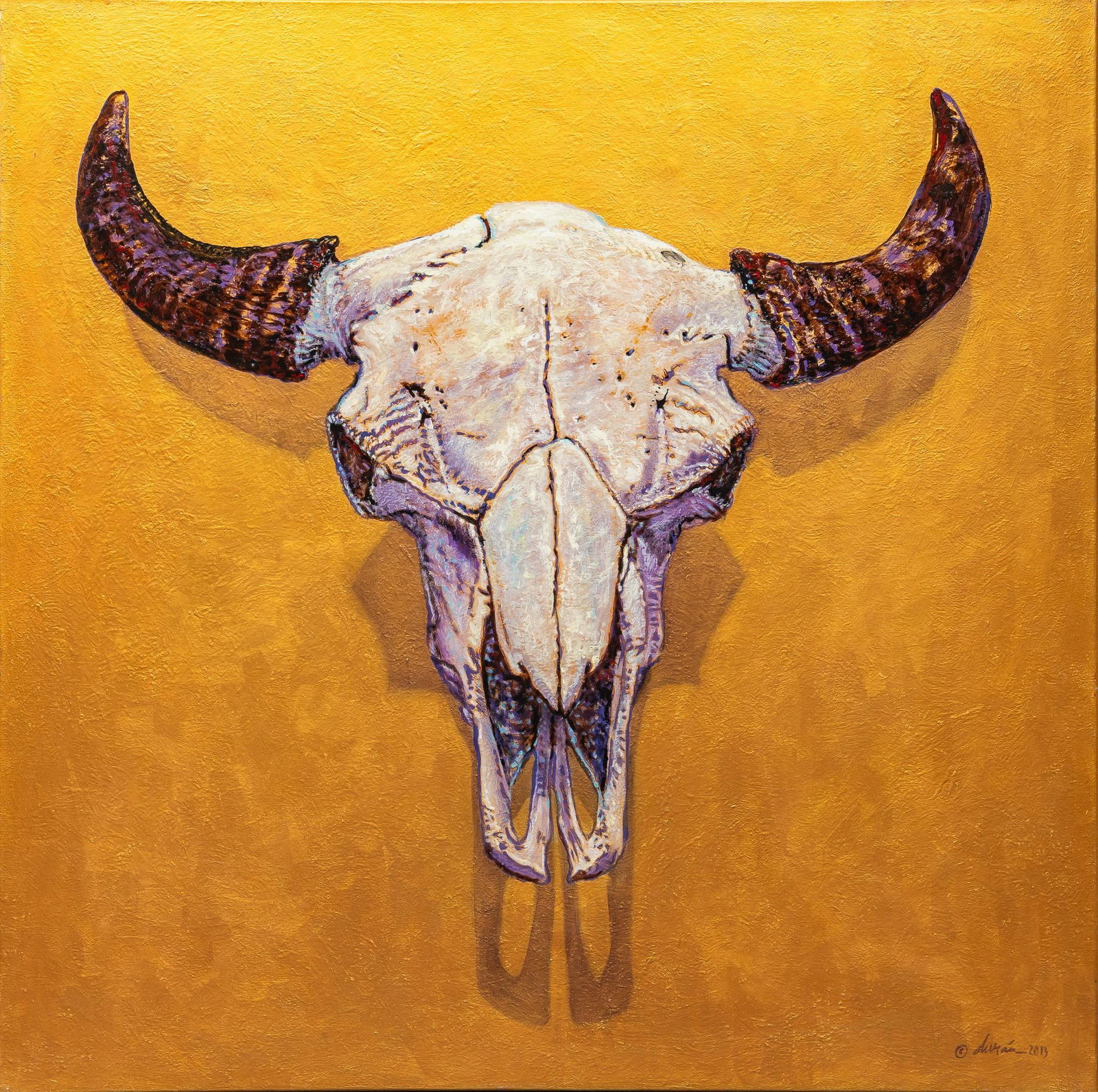 Gilbert Durán | Bison Skull (1 of 6)