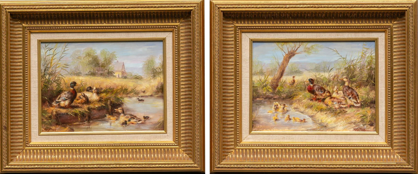 Karoly Bojtor, Idyllic Duck Ponds (1 of 10)