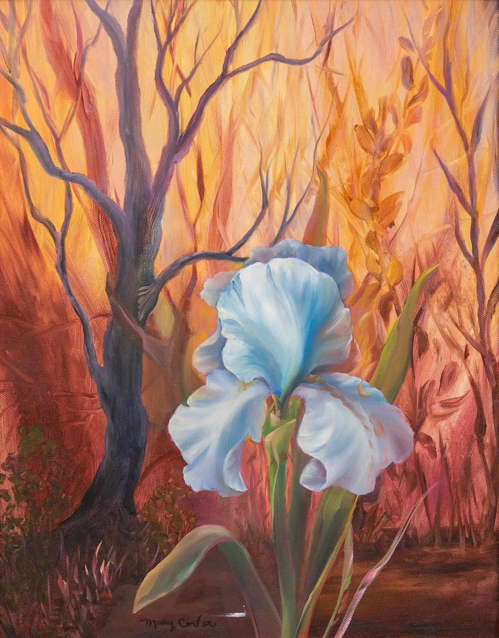 Mary Cover, Blue Iris (1 of 5)