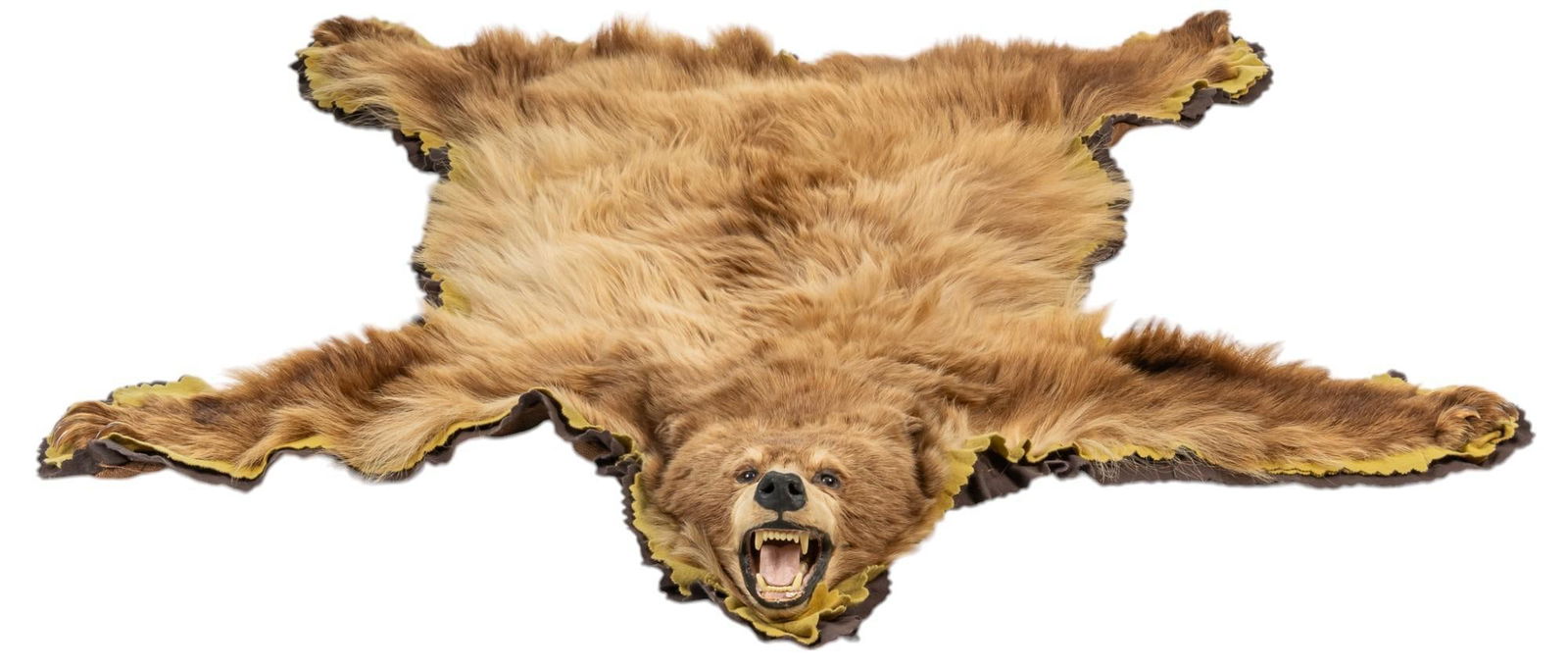 Brown Bear Taxidermy Rug (1 of 6)