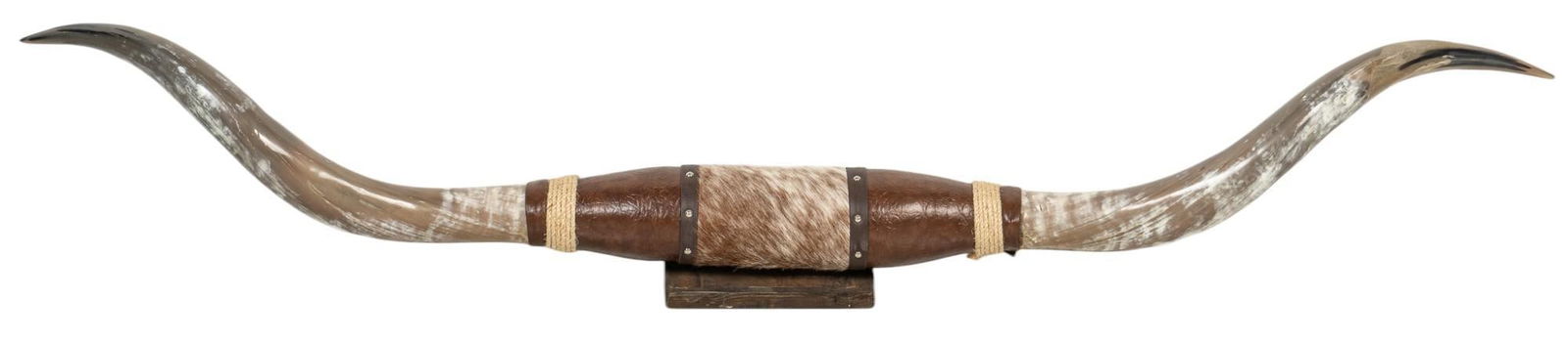 Longhorn Wall Mount (1 of 9)