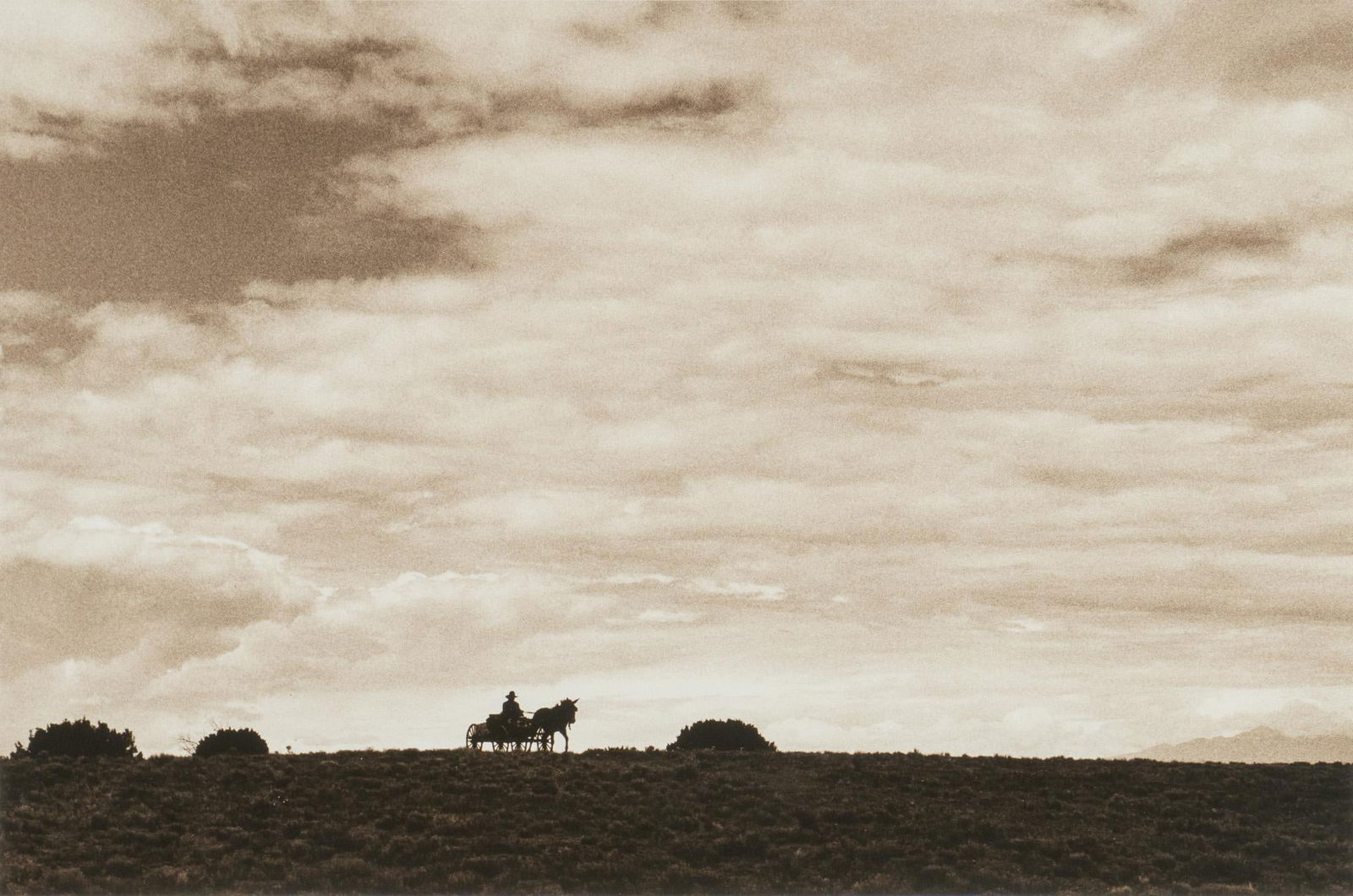 Bill Wittliff, "Taking Gus Home" Signed (1 of 6)