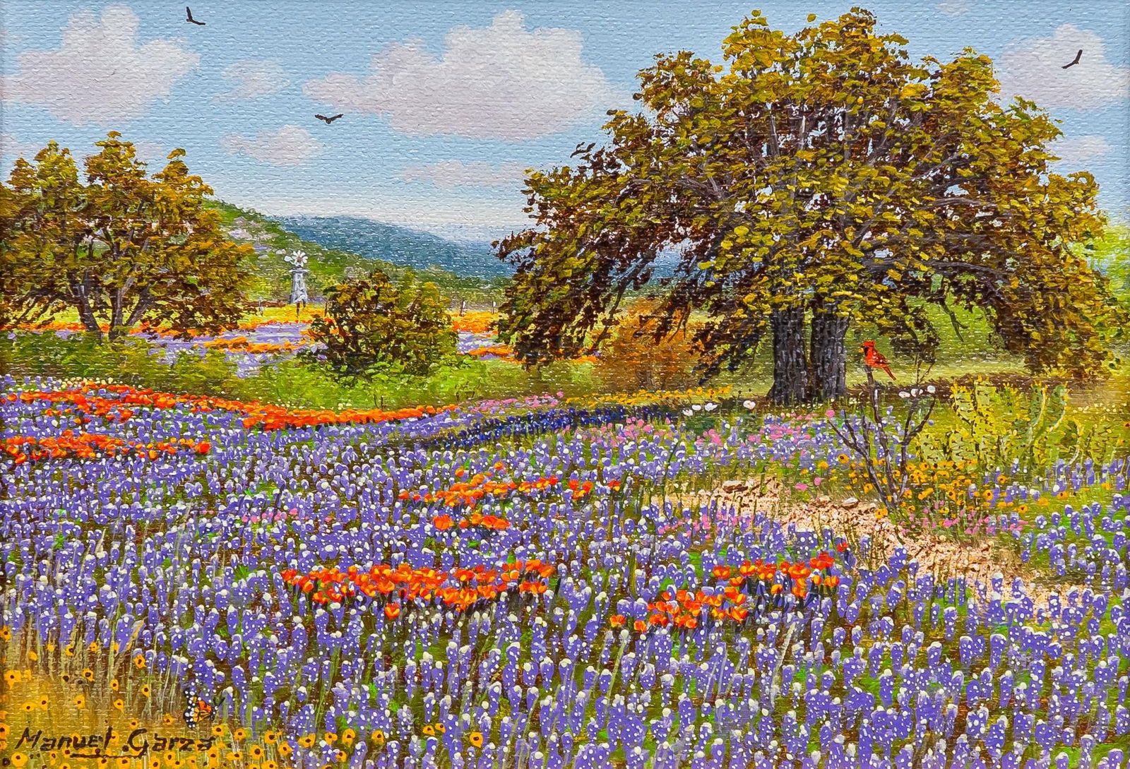 Manuel Garza, Bluebonnets (1 of 6)