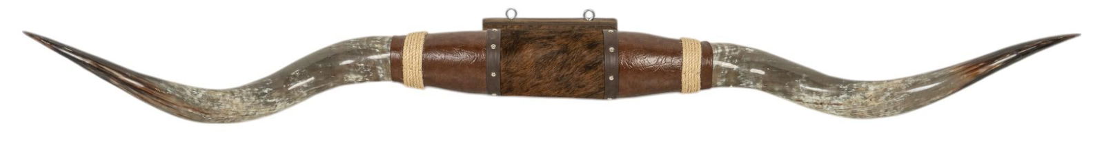 Longhorn Mount (1 of 8)