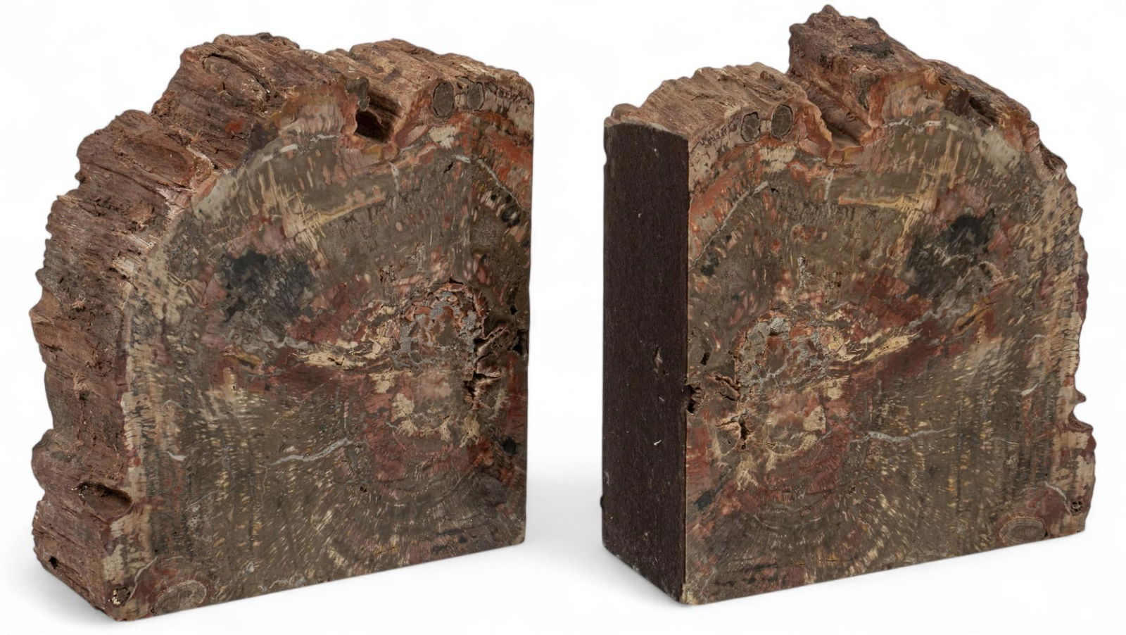 Petrified Wood Bookends (1 of 12)