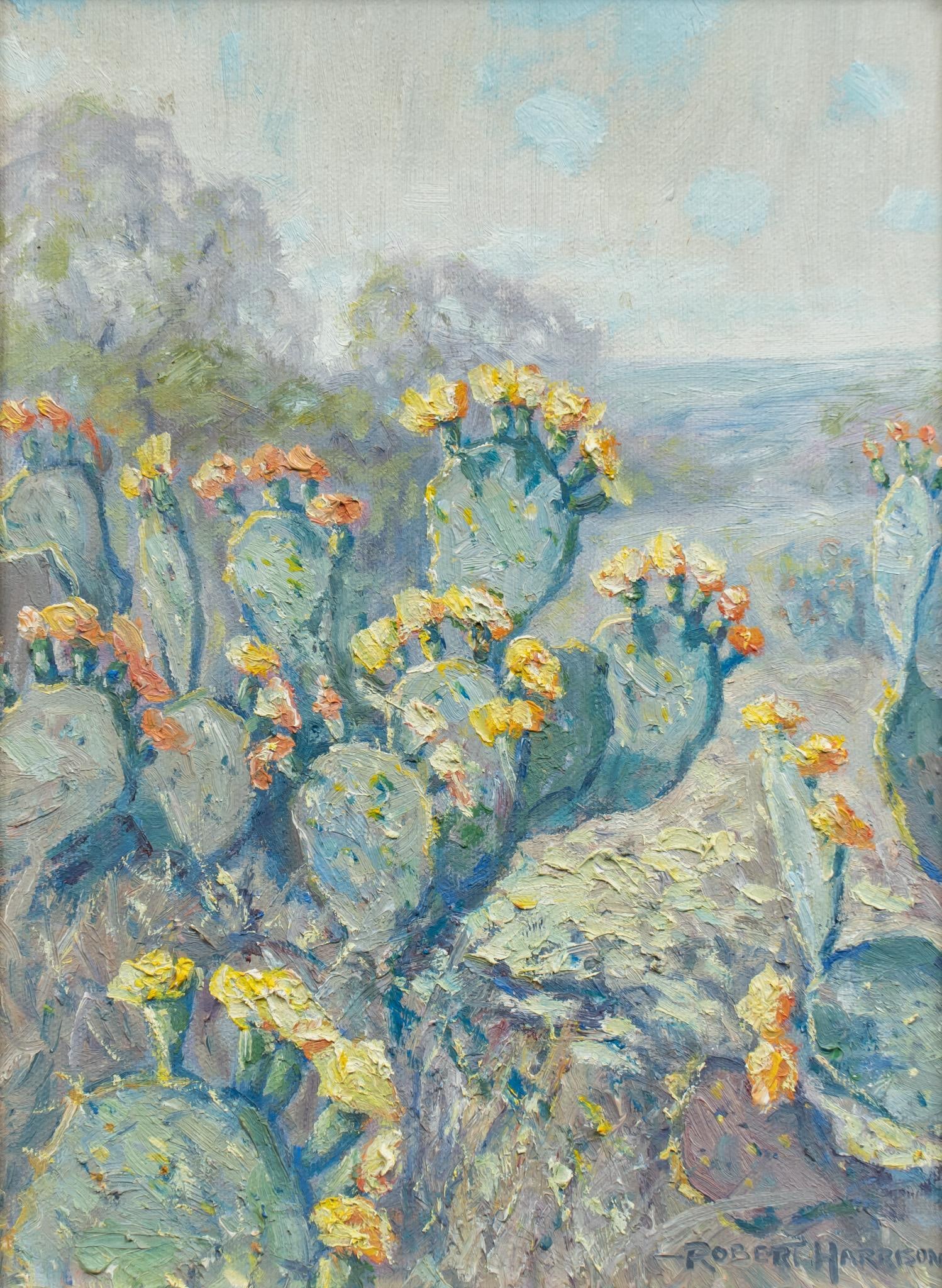 Robert Harrison, Cactus Flowers (1 of 6)
