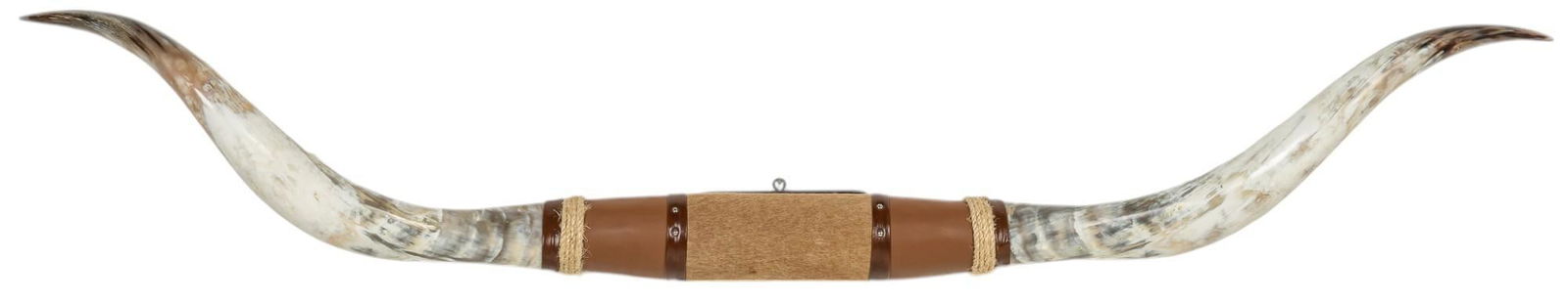 6 Ft. Longhorn Mount Display (1 of 8)