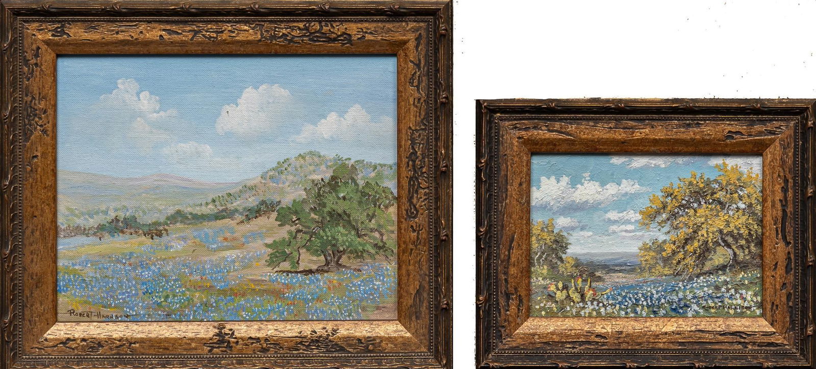 Robert Harrison, (2) Texas Bluebonnet Landscapes (1 of 8)