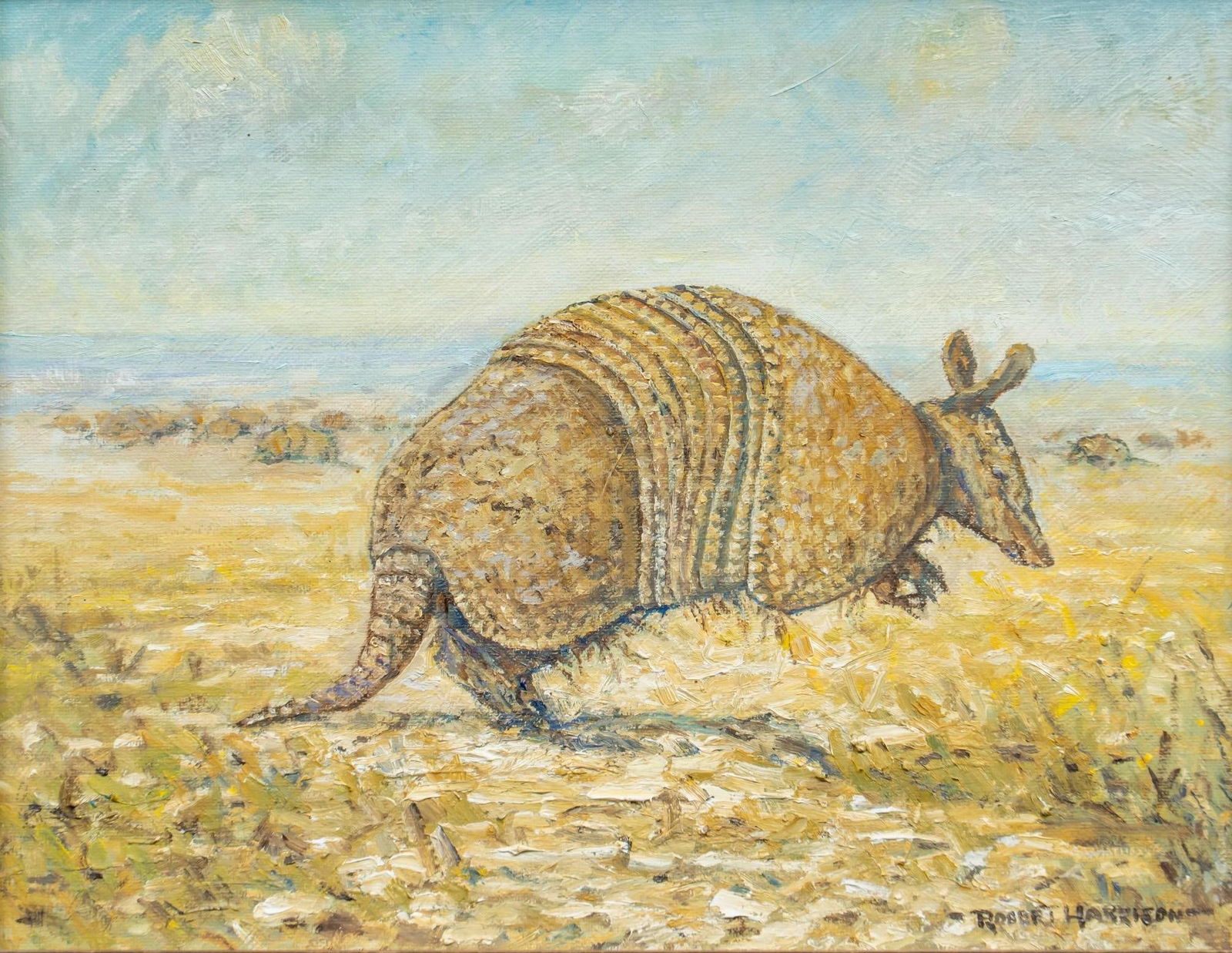 Robert Harrison, Armadillo Scene (1 of 6)