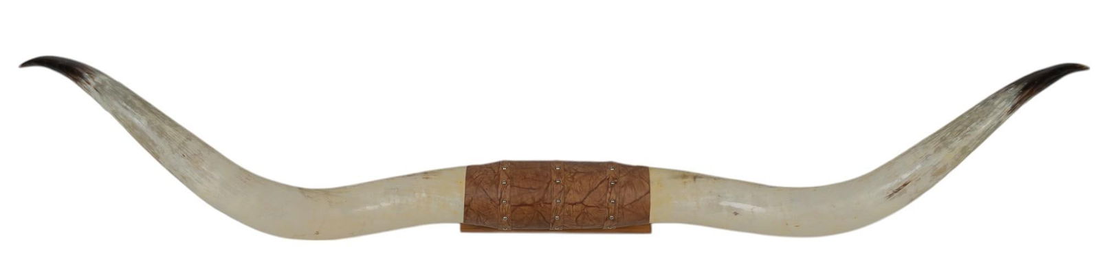 Longhorn Wall Mount (1 of 7)