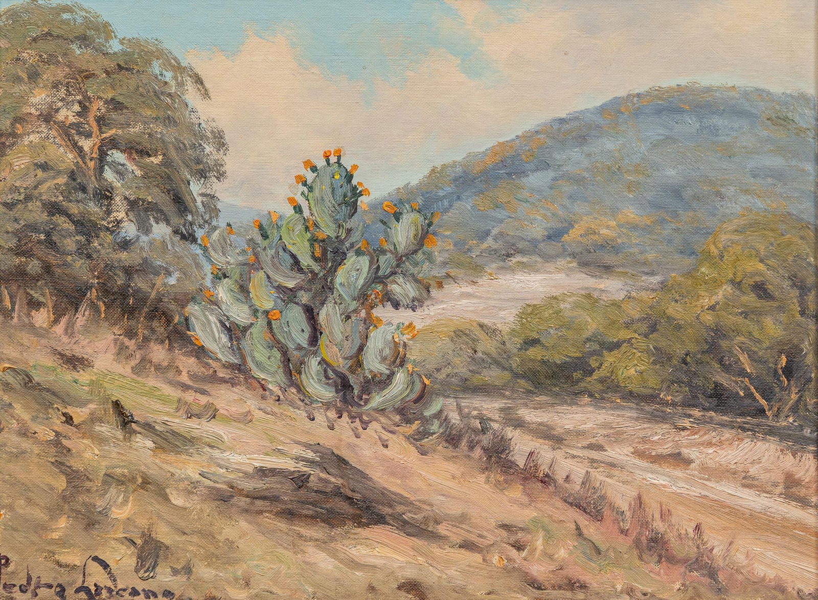Pedro Lazcano, Hill Country Cactus (1 of 5)