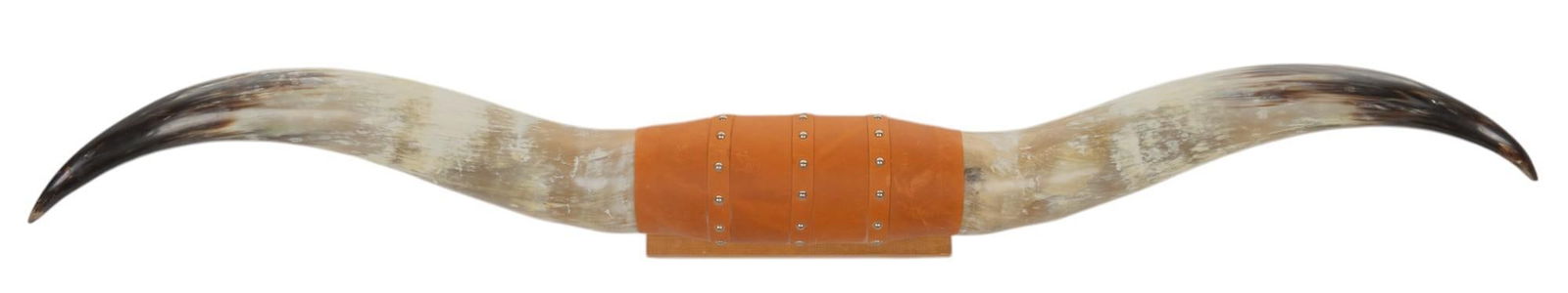 Longhorn Wall Mount (1 of 6)