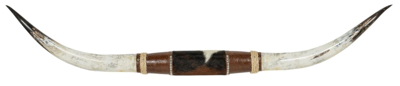 Longhorn Mount (1 of 7)